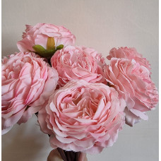 Ранункульс Мисс Роузи (розовый) 22 см