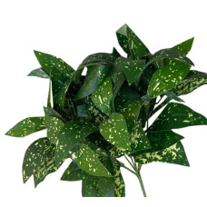 Растение искусственное "Аукуба японская" , 30 см Зеленый