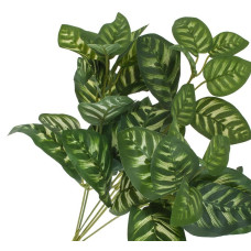 Растение искусственное "Калатея" , 32 см Белый-зеленый