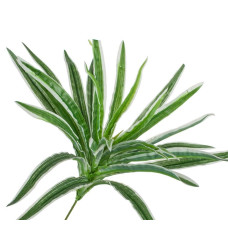 Растение искусственное "Хлорофитум" ,30см Зеленый