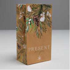 Пакет без ручек «Present for you», 10 х 19.3 х 7 см