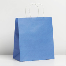 Пакет крафтовый «Blue», 22 × 25 × 12 см